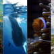 Illustration for article titled BBCs new emGreat Barrier Reef/em documentary serves up some serious eye candy